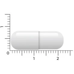 Vitakruid L-Tyrosine 500 -Gezondheidsproducten Winkel 1023992 5
