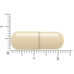 Vitakruid Geheugenformule 8 Vitakruid Geheugenformule -Gezondheidsproducten Winkel 1023998 4