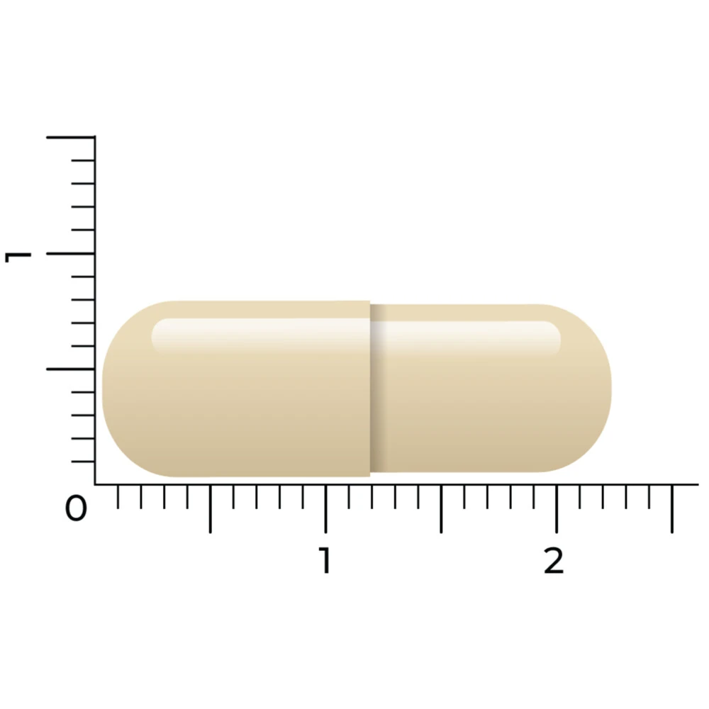 Vitakruid Geheugenformule 4 Vitakruid Geheugenformule - Afbeelding 4