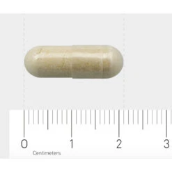 AOV 833 Vitex Agnus Castus 7 AOV 833 Vitex Agnus Castus -Gezondheidsproducten Winkel 1029468 4