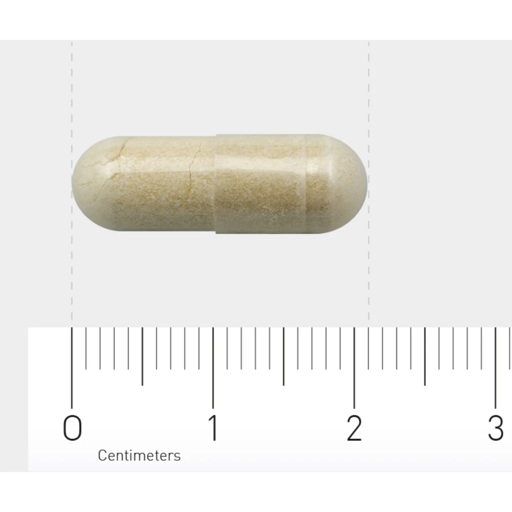 AOV 833 Vitex Agnus Castus 4 AOV 833 Vitex Agnus Castus - Afbeelding 4