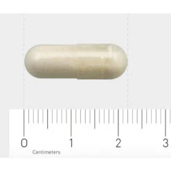 AOV 1132 Lactase -Gezondheidsproducten Winkel 1029493 4