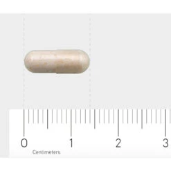 AOV 1201 Probiotica 4 Miljard 7 AOV 1201 Probiotica 4 Miljard -Gezondheidsproducten Winkel 1029498 4
