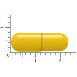 Vitakruid Berberine 500 Rebersa -Gezondheidsproducten Winkel 1029807 4