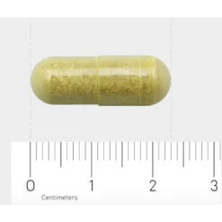 AOV 816 Quercetine-extract (500 Mg) 7 AOV 816 Quercetine-extract (500 Mg) -Gezondheidsproducten Winkel 1030206 4