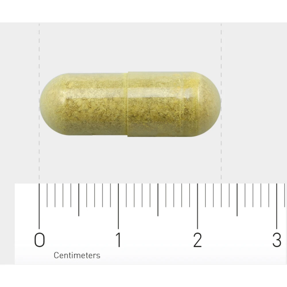AOV 816 Quercetine-extract (500 Mg) 4 AOV 816 Quercetine-extract (500 Mg) - Afbeelding 4