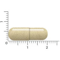 Vitakruid Vitex Agnus Castus 8 Vitakruid Vitex Agnus Castus -Gezondheidsproducten Winkel 1032176 4