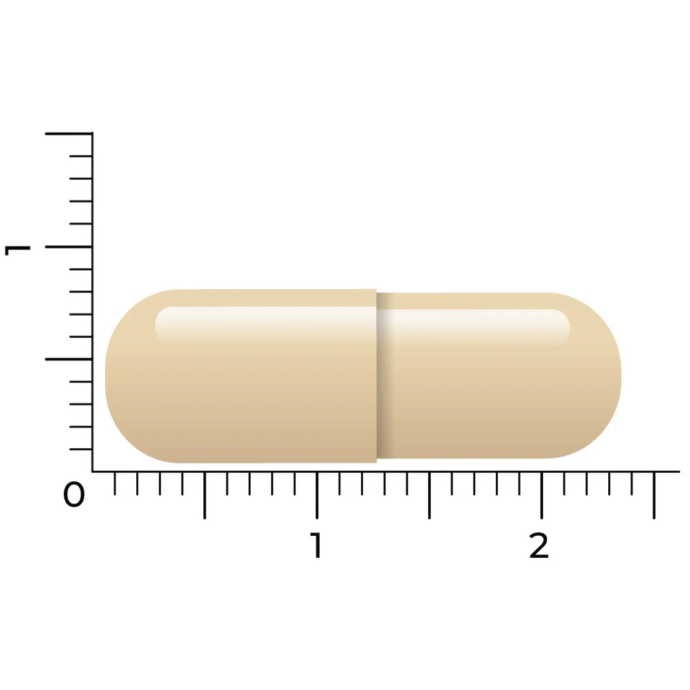 Vitakruid DIM Complex 5 Vitakruid DIM Complex - Afbeelding 5