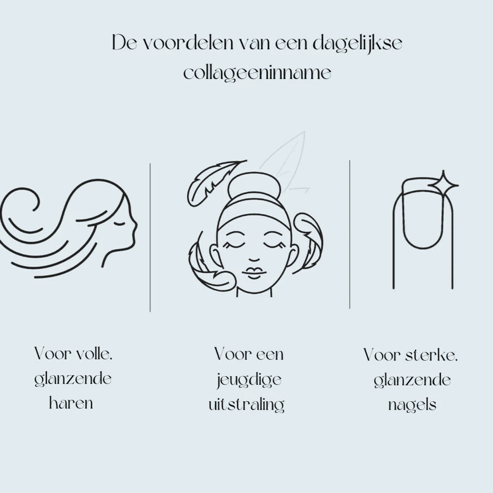 Premium Collageen Hydrolysaat Poeder Met Vitamine C En Hyaluronzuur Sinaasappelsmaak 4 Premium Collageen Hydrolysaat Poeder Met Vitamine C En Hyaluronzuur Sinaasappelsmaak - Afbeelding 4