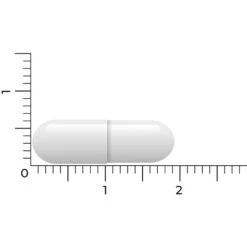 Vitakruid Lactase Optiferm 3000 Fcc 9 Vitakruid Lactase Optiferm 3000 Fcc -Gezondheidsproducten Winkel 1058191 5