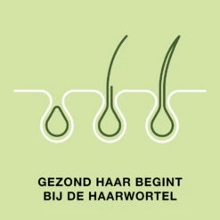 Priorin Haar -Gezondheidsproducten Winkel 711892 4