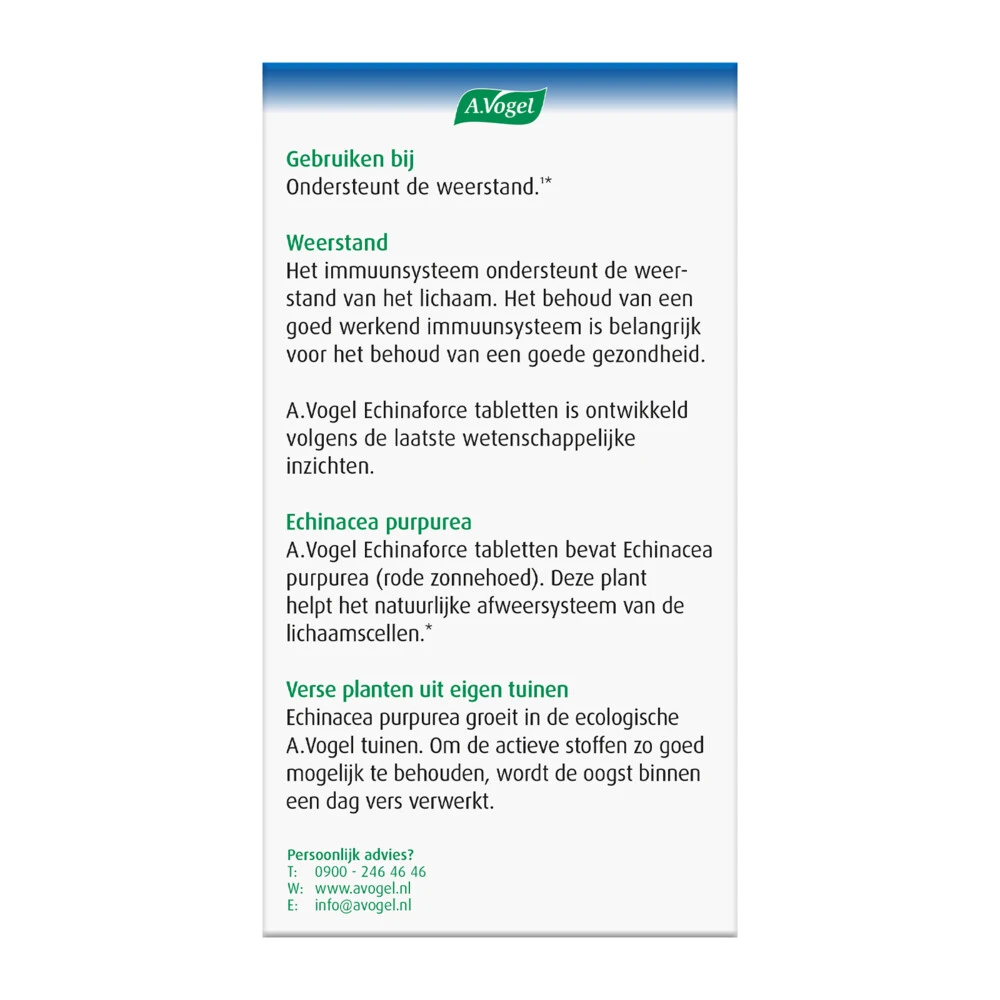 A.Vogel Echinaforce Weerstand 4 A.Vogel Echinaforce Weerstand - Afbeelding 4