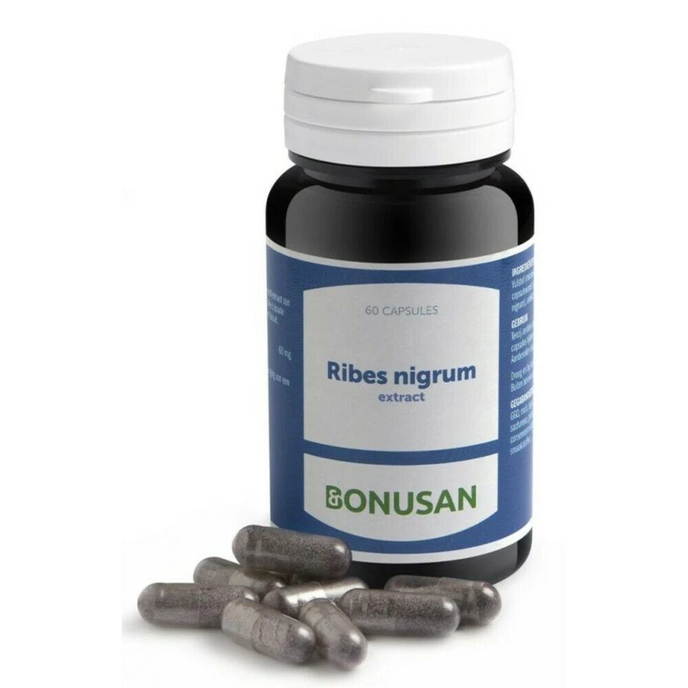 Bonusan Ribes Nigrum 2 Bonusan Ribes Nigrum - Afbeelding 2