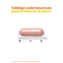 Roter Cystiberry -Gezondheidsproducten Winkel 962280 4