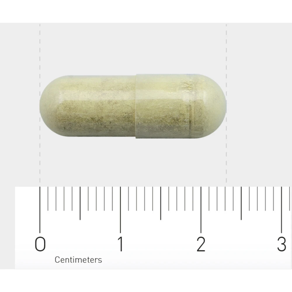 Orthica Orthisept Plus 4 Orthica Orthisept Plus - Afbeelding 4