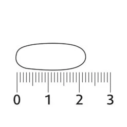 Lucovitaal Geheugen & Concentratie -Gezondheidsproducten Winkel 997138 4